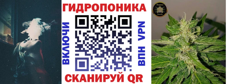 Купить Перевоз A-PVP  ГАШ  Каннабис  Кокаин 