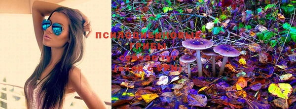 спиды Лабытнанги