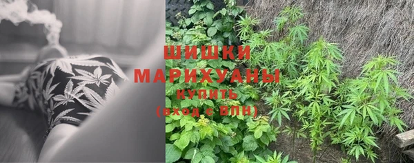 герыч Ладушкин